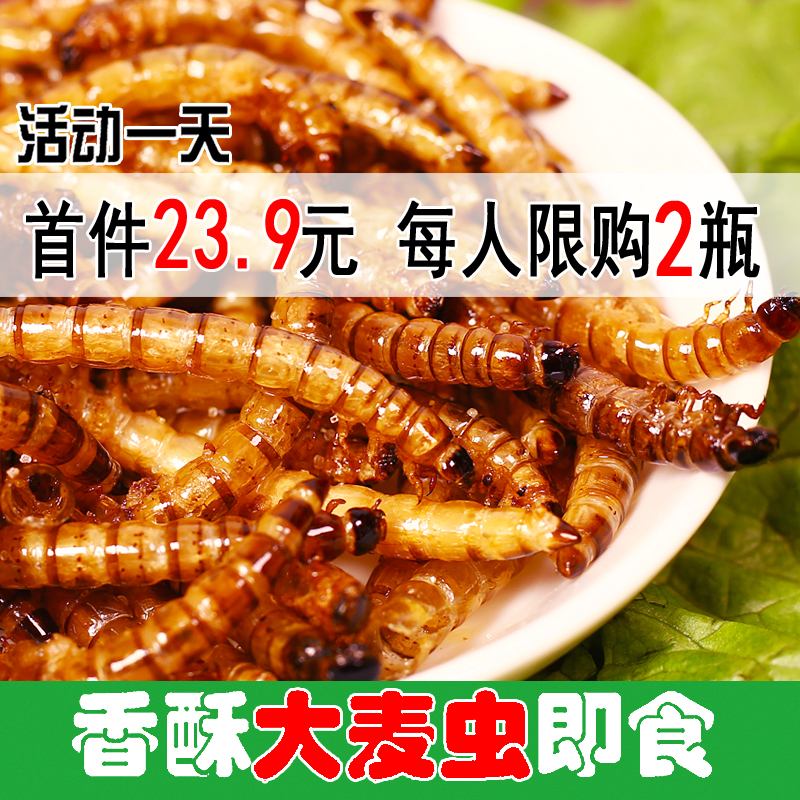 油炸大麦虫虫子美食昆虫食用即食美食香酥可以能吃的烤炸虫子零食