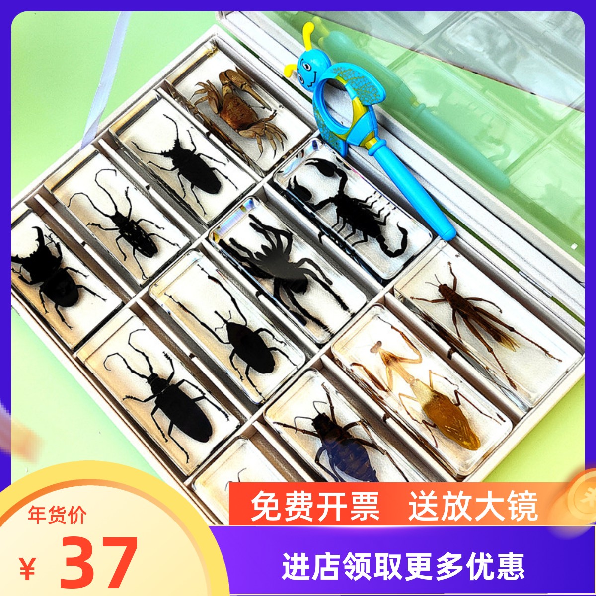 真实昆虫标本幼儿园动物琥珀树脂摆件甲虫蜈蚣蝎子蜘蛛螳螂星天牛