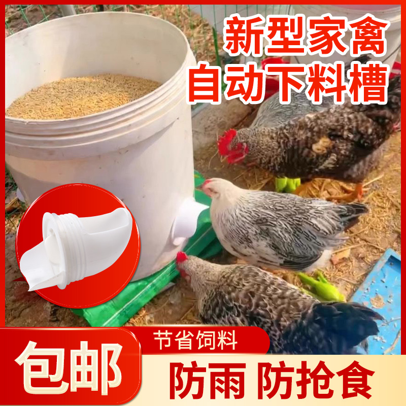 喂鸡食槽自动喂食器鸡自动下料器防鸟喂食神器鸽子鸡用自动饮水碗