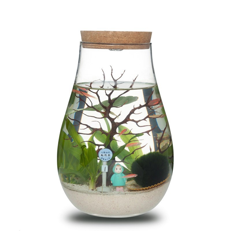新品生态瓶鱼虾螺办公室桌面迷你水族箱小型生态鱼缸微景观微景缸