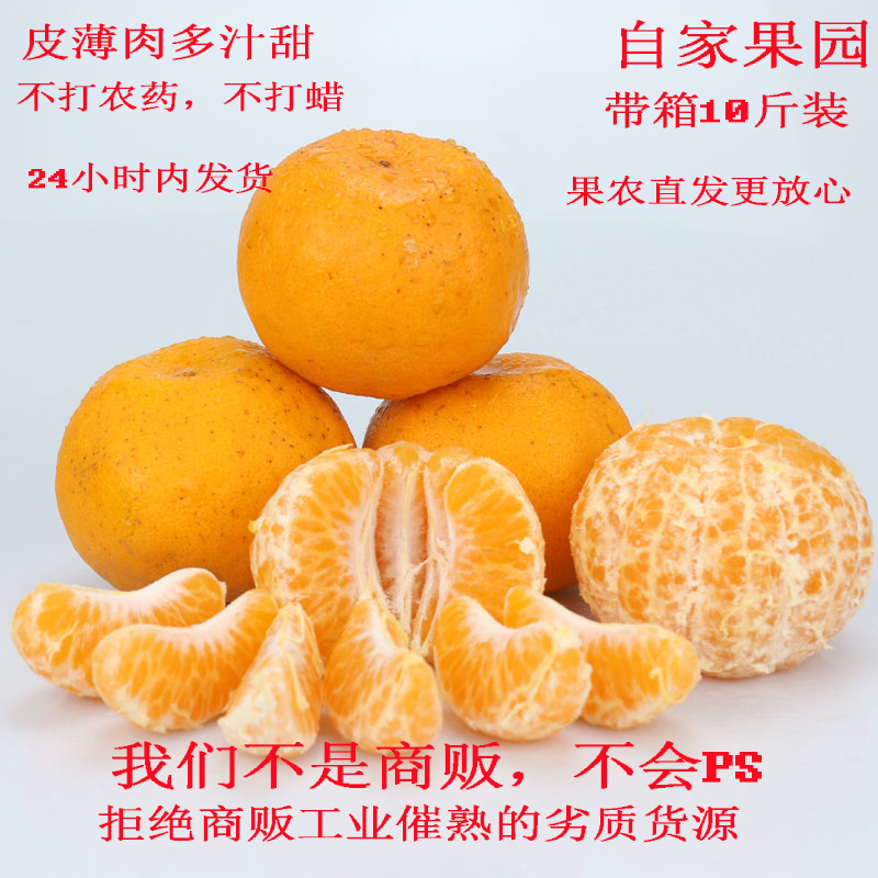 浙江衢州椪柑农家自种橘子当季香甜水果柑橘芦柑大果新鲜包邮