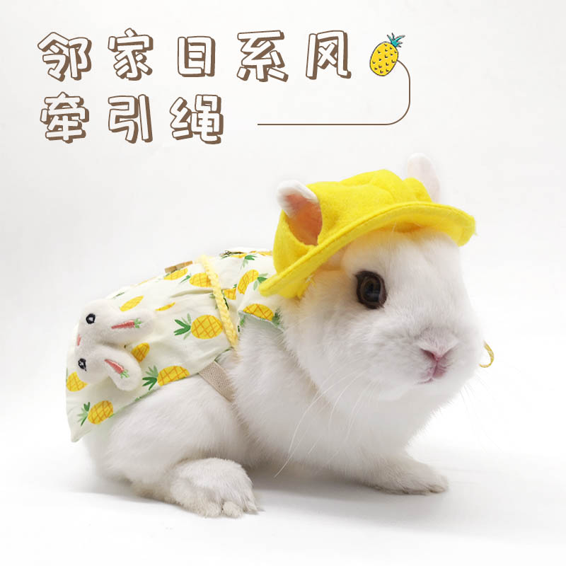 宠物兔子衣服牵引绳兔兔荷兰猪垂耳兔幼兔侏儒兔装服饰帽子饰品