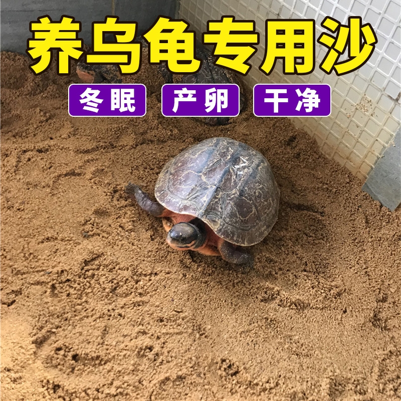 养乌龟专用沙冬眠用品龟下蛋沙子龟产蛋沙孵化沙细沙鱼缸沙免洗沙