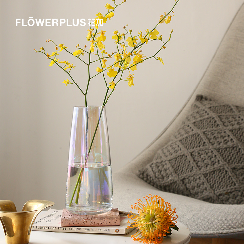 FlowerPlus花加极光暖岛花瓶同款现代简约风格创意插花器玻璃摆件