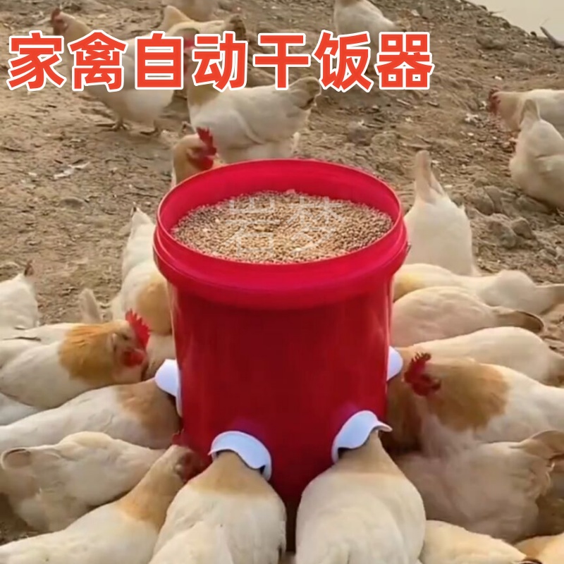 家禽自动喂食器鸡鸭鹅食槽小鸡饲料喝水饮水器养鸡神器喂鸡下料器