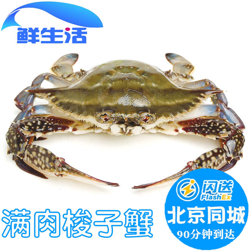 北京闪送 4-9两1只 鲜活梭子蟹海蟹飞蟹满肉公母大螃蟹海鲜水产
