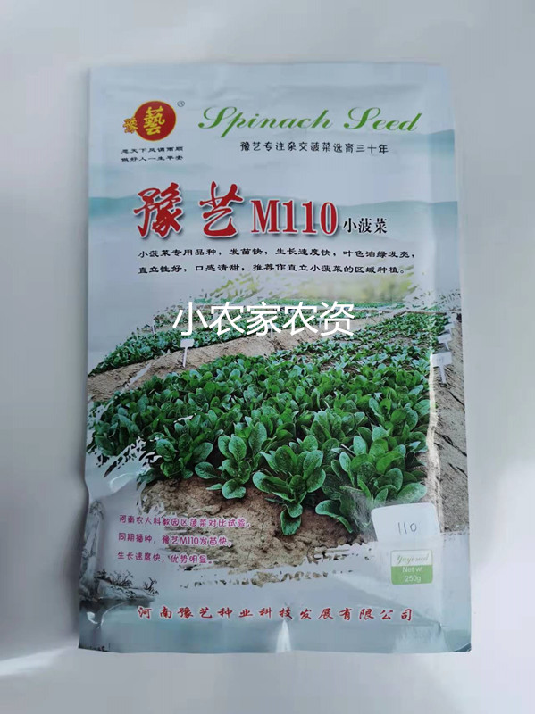 河南豫艺种业 豫艺M110菠菜种子高产抗病晚抽苔产量高叶片厚250克