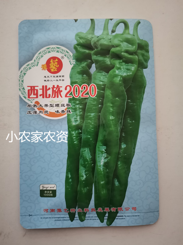 河南豫艺种业 西北旅2020螺丝椒高产味辣椒形好 辣椒10克大田用种