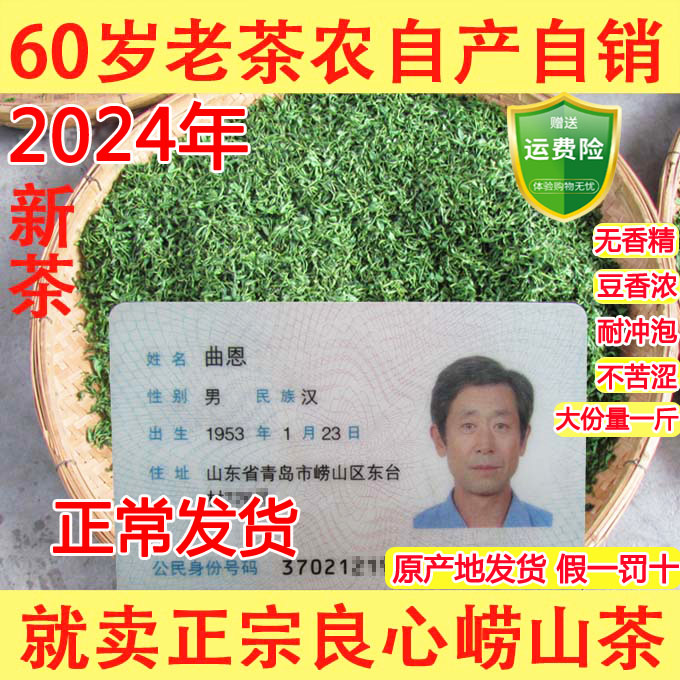 崂山绿茶2024年新茶春茶豆香浓郁崂茶农手工崂山茶500克青岛