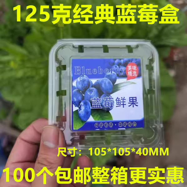 125g克一次性加厚透明蓝莓盒子包装盒透气pet塑料水果树莓枸杞盒