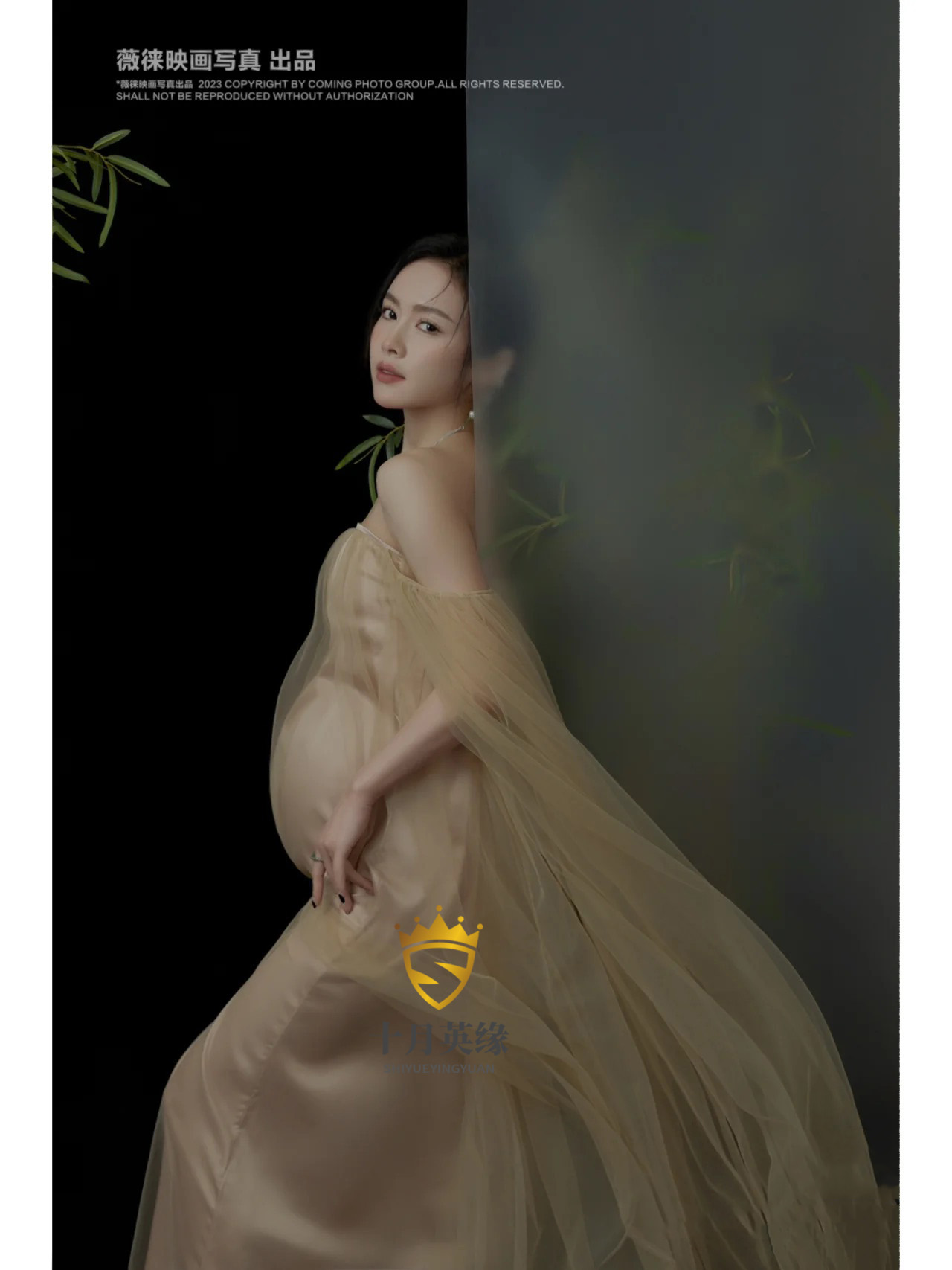 新品影楼孕妇装新款复古优雅气质水墨竹抹胸裙孕妈咪艺术照孕妇照