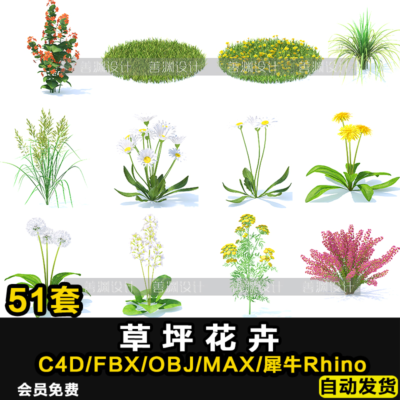 野生植物鲜花朵绿植草地坪花丛C4D/FBX/OBJ/Rhino犀牛素材带贴图