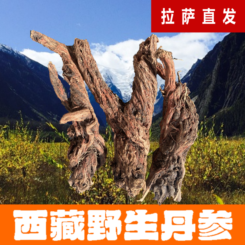 西藏特产野生丹参干货自然晾晒多年生根茎500g泡酒煲汤煮水拉萨发