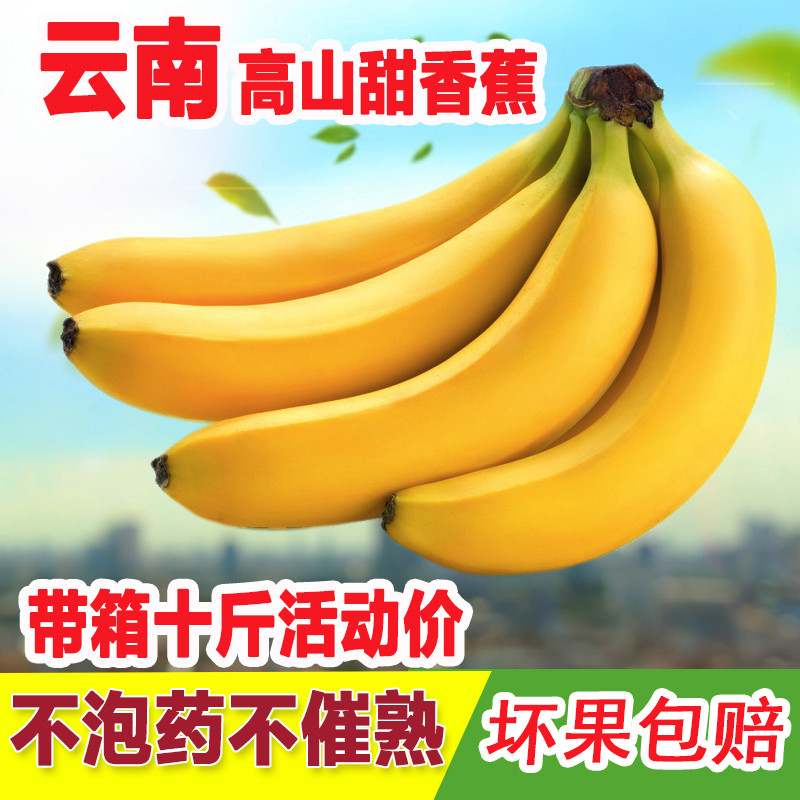现摘新鲜云南大香蕉整箱当季8斤水果包邮自然熟十斤不是小米焦