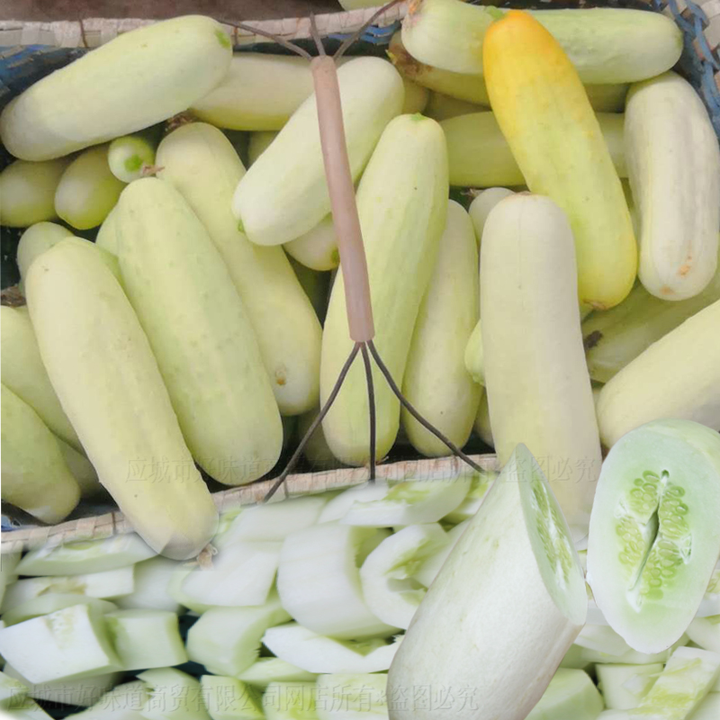 湖北新鲜蔬菜旱地白皮黄瓜食用农产品传统露天种植果蔬3斤装包邮