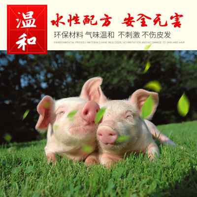 猪牛羊用动物标记喷漆红绿蓝猪身兽用记号喷雾蜡笔畜牧养殖场专用
