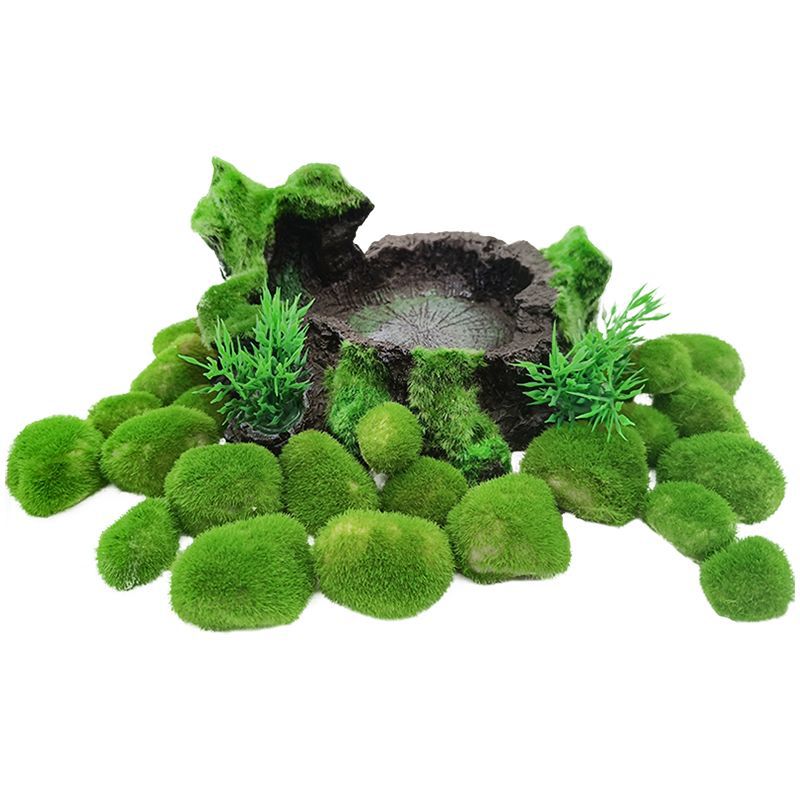 草仿装真鱼缸海藻球水微景TIZ观生态瓶绿藻球鱼缸景造室内桌面饰