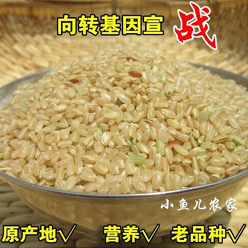 23年新糙米 东北农家自产糙米500g 新米粳米糙米杂粮胚芽米糙米饭