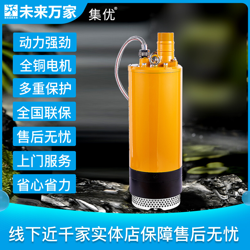 浙江丰源集优内装式潜水电泵QXN10-40/2-2.2 | 未来万家