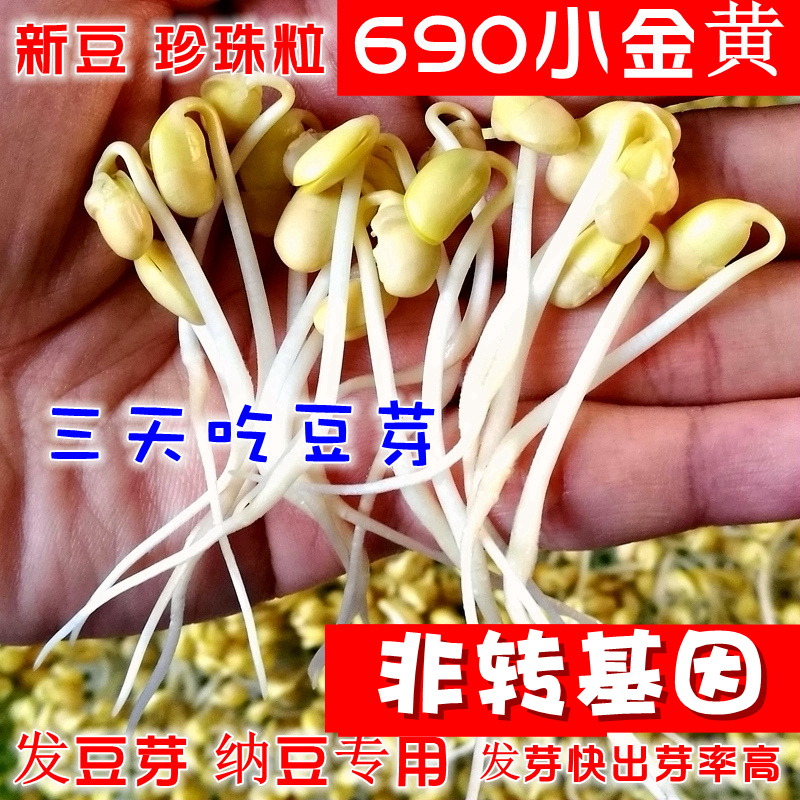 新货发豆芽黄豆生黄豆芽豆专用黄豆纳豆 5斤2东北农家自种690小粒