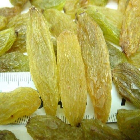 新疆新货吐鲁番优质超大粒长免洗无沙绿香妃葡萄干1斤 香妃王500g