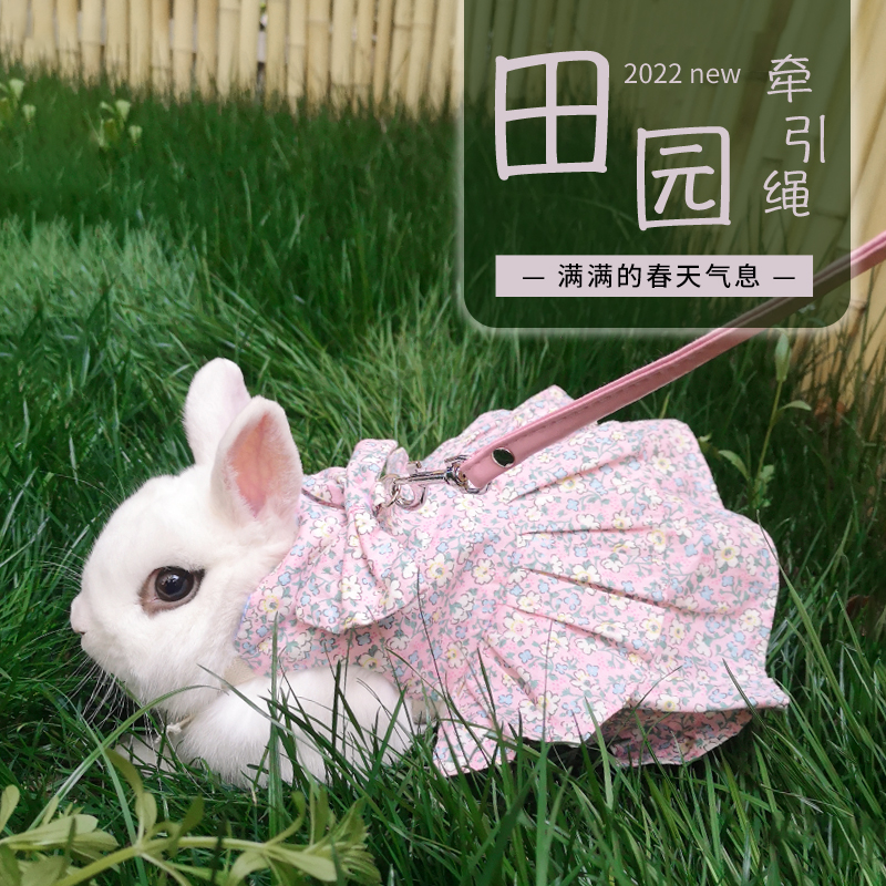 宠物兔子衣服牵引绳  兔兔荷兰猪垂耳兔幼兔侏儒兔田园风服饰