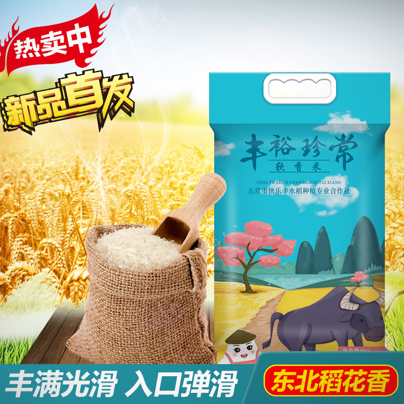 丰裕珍常 长粒香米 5kg 黑龙江东北大米10斤粳米 长粒米