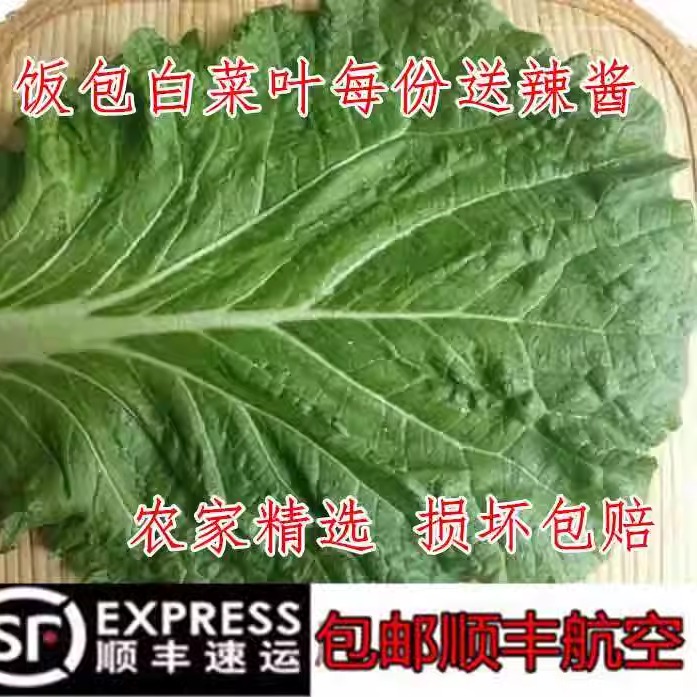 东北新鲜大白菜叶白菜叶东北白菜叶打饭包菜叶打菜包饭包白菜叶子