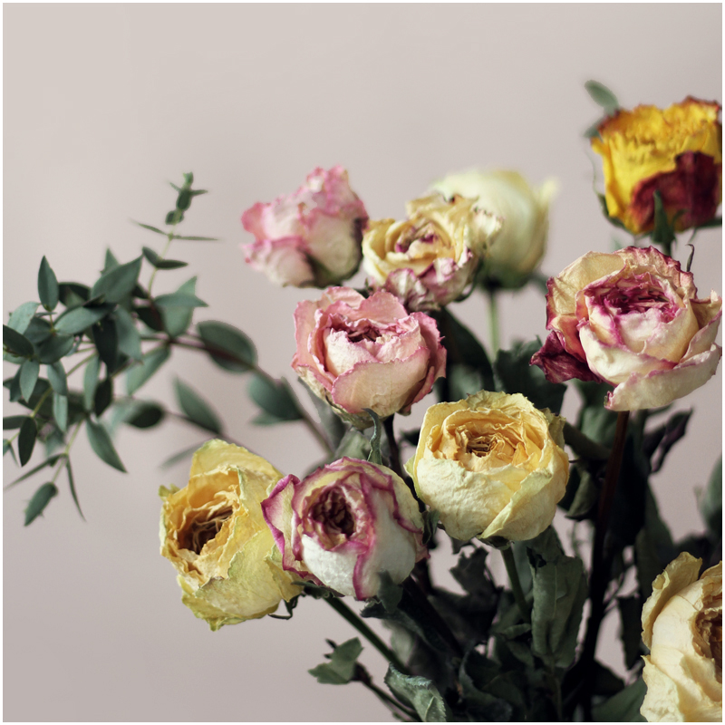 WOOKEN精品复古玫瑰干花天然真花束莫兰迪色植物生日礼物家居装饰
