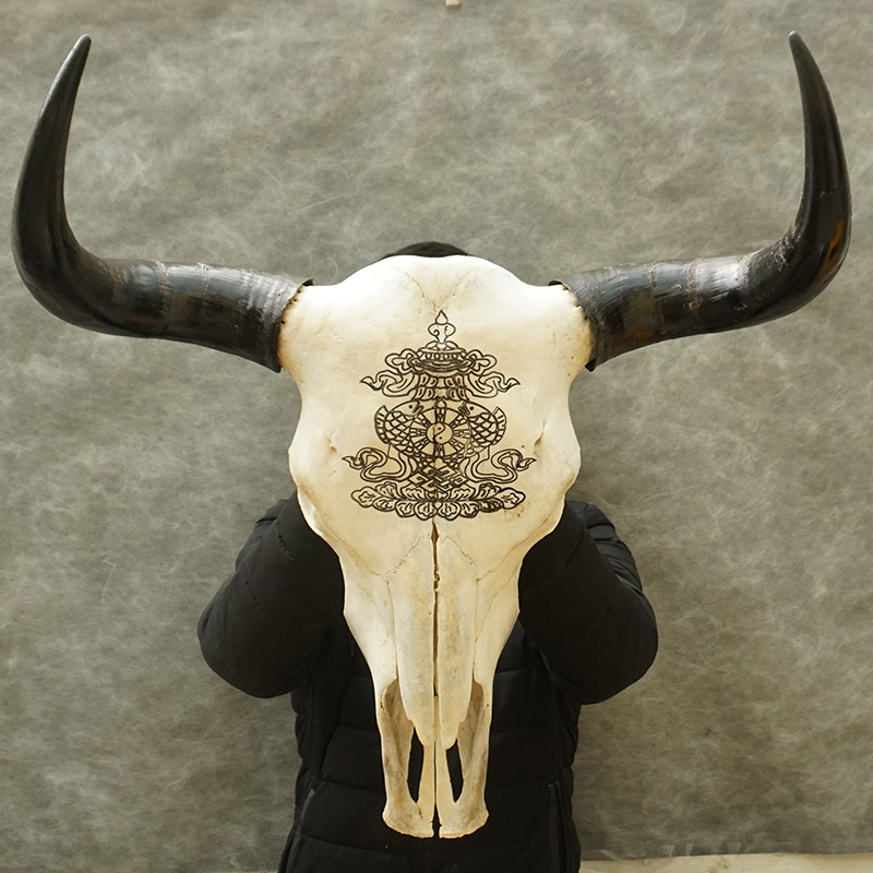 天然牦牛头骨工艺品白色真牛头牛头装饰品特色壁饰手工艺礼品摆件