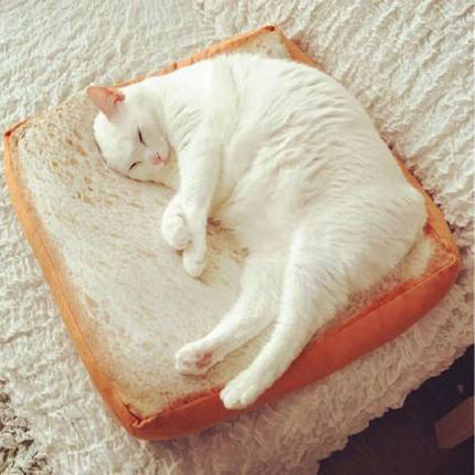 一片切片面包学生椅子坐垫吐司宠物猫咪土司毛绒抱枕座垫玩具靠垫