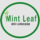 牡丹江Mint Leaf薄荷叶